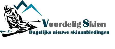 Voordelig Skien Logo